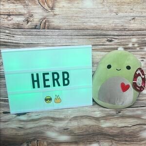 Herb the Valentine’s Day Turtle Squishmallow NWT 8”